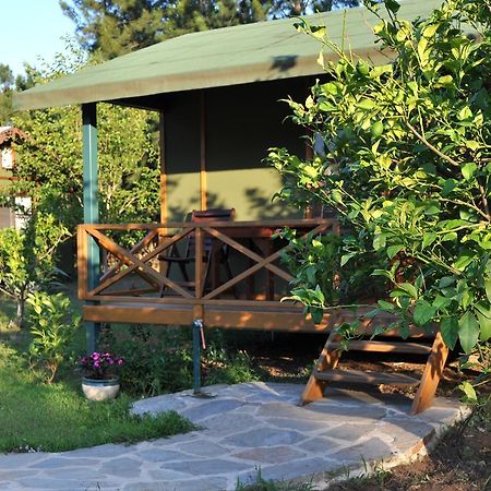 Hobbit Evi Hotell Çıralı Rom bilde