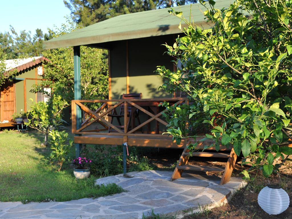 Hobbit Evi Hotell Çıralı Rom bilde